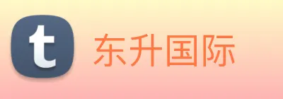 东升国际 logo
